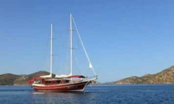 Anıl Kaptan