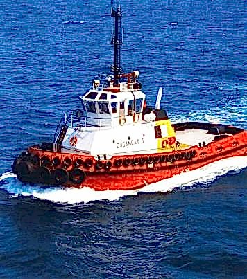 Doğançay