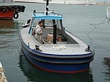 Palamar IX