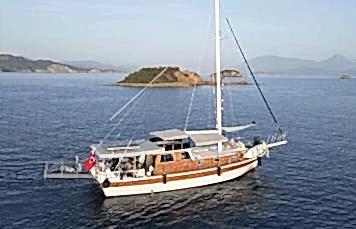 Sea Rose