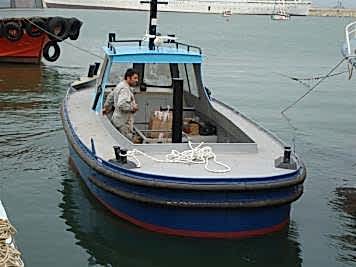 Palamar IV